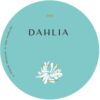 DAHLIA 999