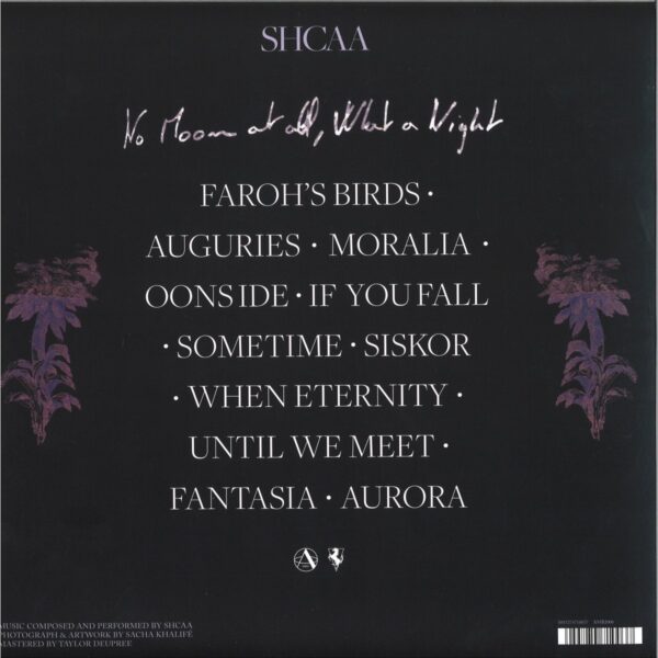 No Moon At All What A Night