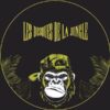 Gorilla Jam