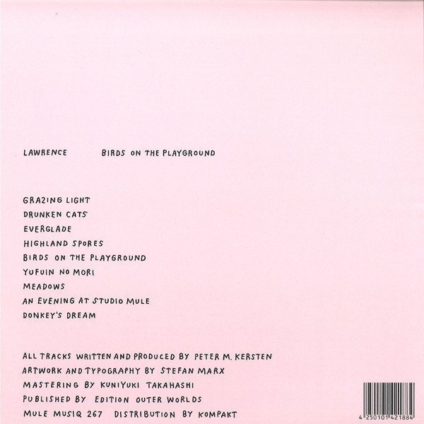 Birds On The Playground