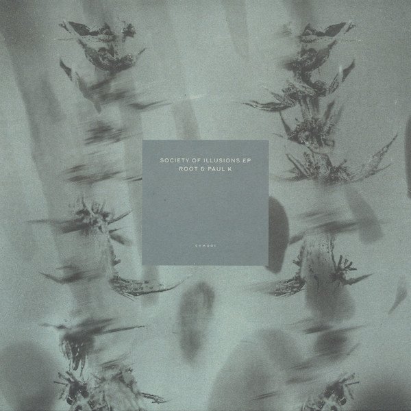 Society Of Illusions