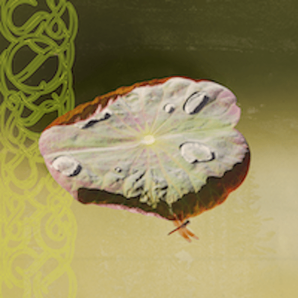 PIST001 Limpet Minds