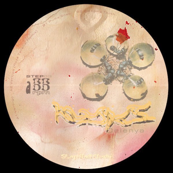 STEP03-Asideweb Delenya