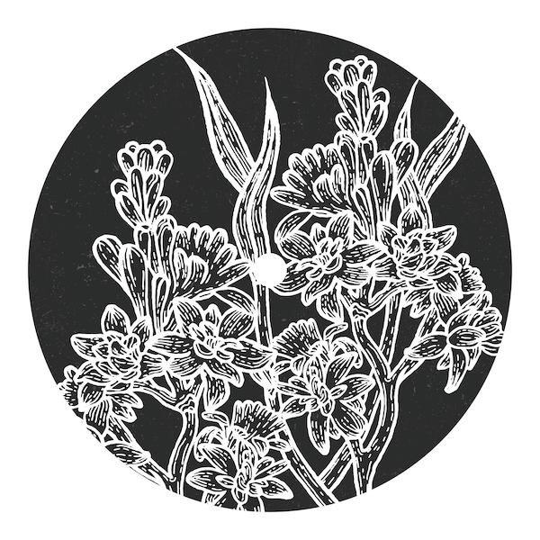 labelmockupsimple Moonward