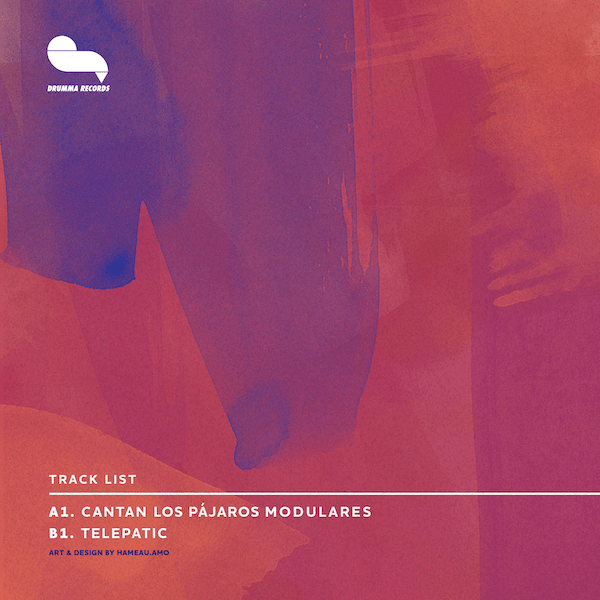 Contraportada- Idana Cantan Los Pájaros Modulares