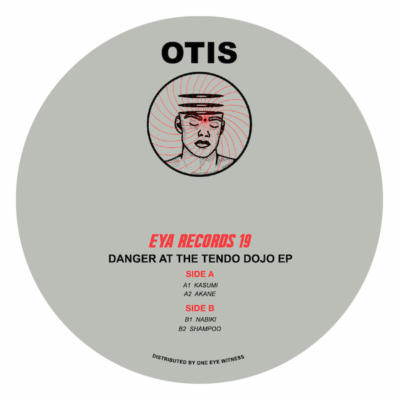 Danger At The Tendo Dojo