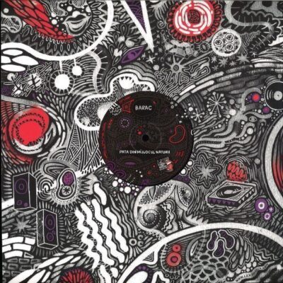 Pata Din Mijlocul Naturii