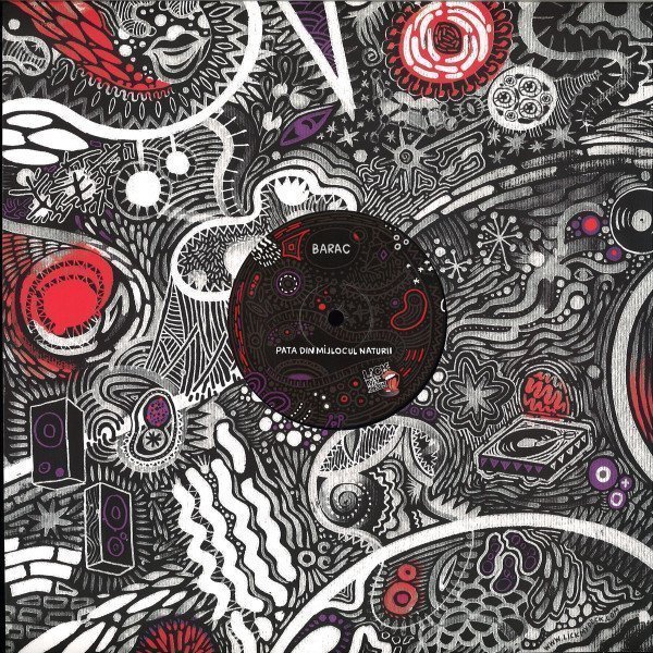 Pata Din Mijlocul Naturii