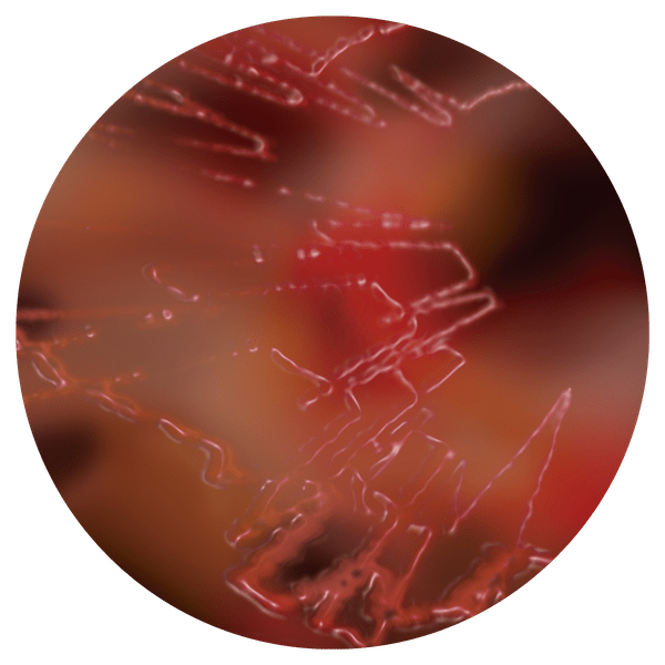 PM003-B Dangerous Goods