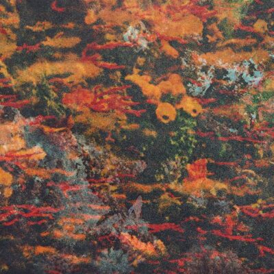 Naissance Aux Mondes Invisibles