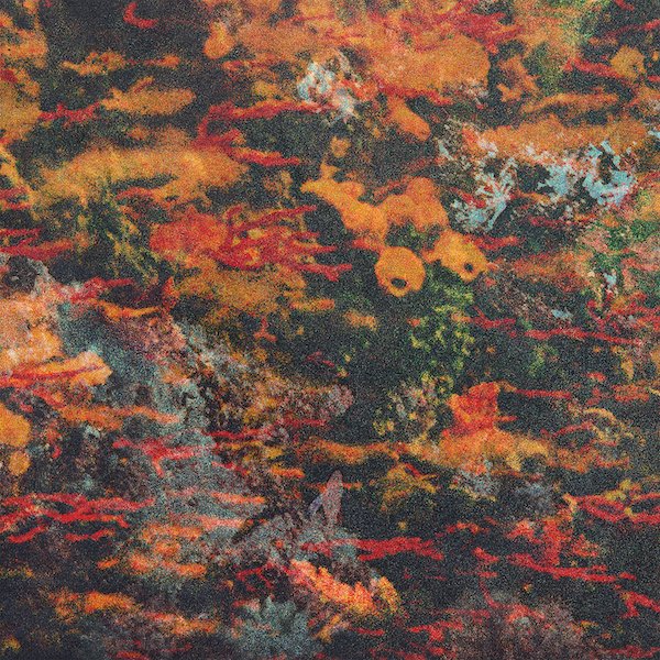 Naissance Aux Mondes Invisibles