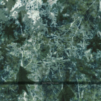 Voices From The Lake (2023 Edition) 4x12"