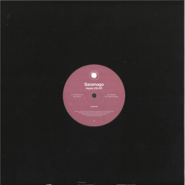 CARPET09_2 Kepler 22b