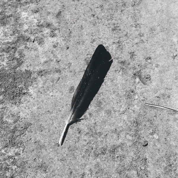 12inch_3mm_v92012.indd Green EP