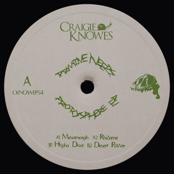 CKNOWEP54 Protosphere