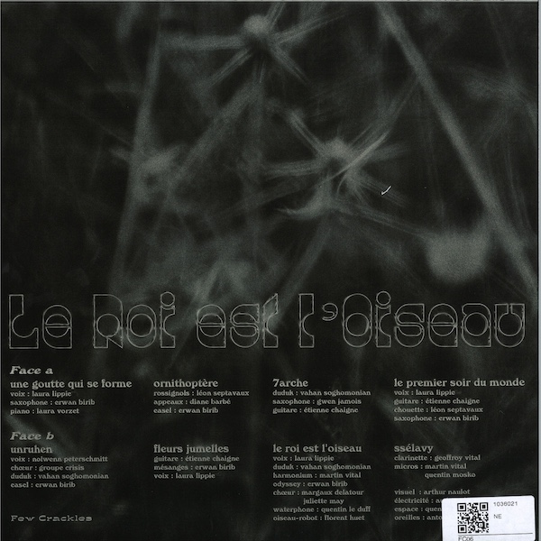 le roi est l’oiseau