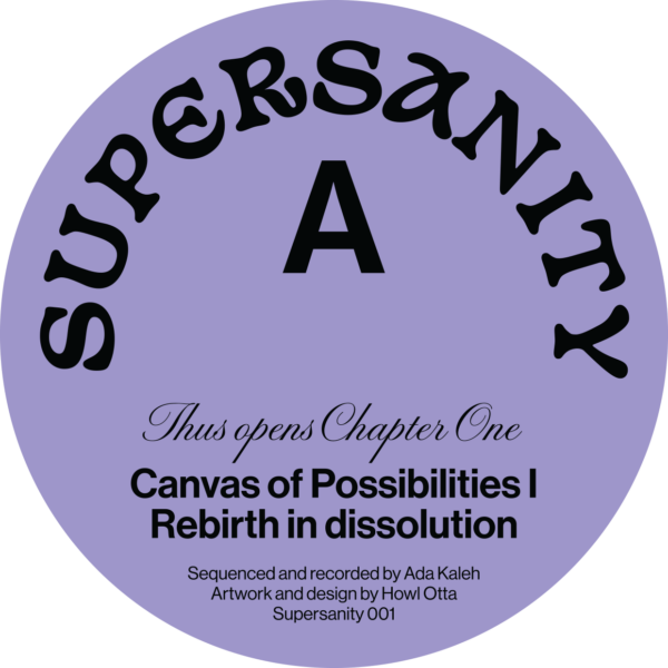 CANVAS OF POSSIBILITIES I