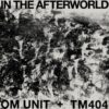 In The Afterworld LP