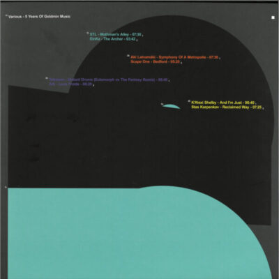 GMNV010.1_1 5 Years Of Goldmin Music Vol.1