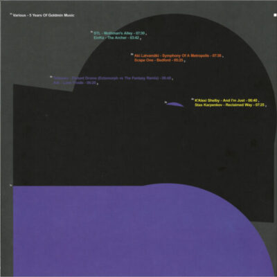 5 Years Of Goldmin Music Vol.3