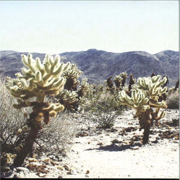 ITLP14_1 Due In Color LP