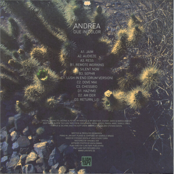 ITLP14_2 Due In Color LP