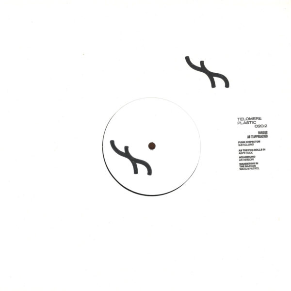 TELOMERE020.2_1 As It Approaches