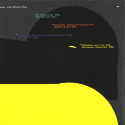 gmnv010.4_1 5 Years Of Goldmin Music vol.4