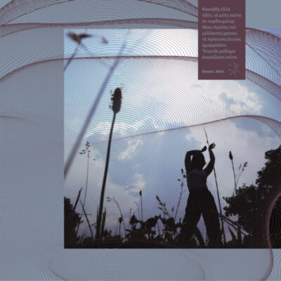 Cracked, serving assorted sweets make heaven