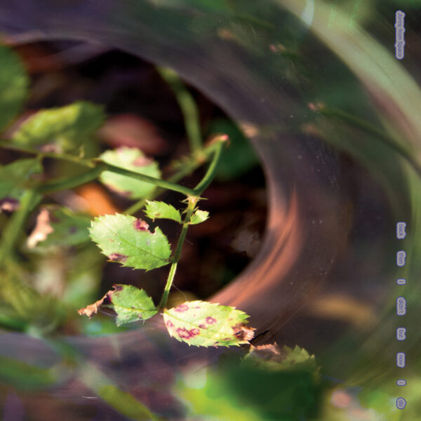 INC-026_1 back then I didn’t but now I do