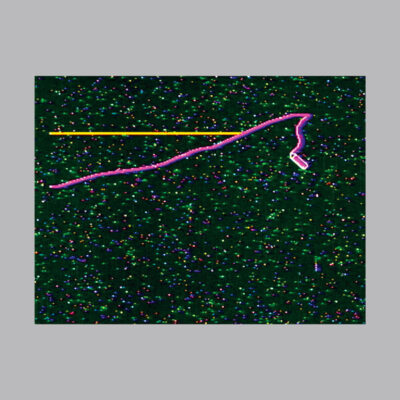 Alterac Acid / Mornings III