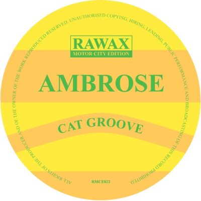 Cat Groove