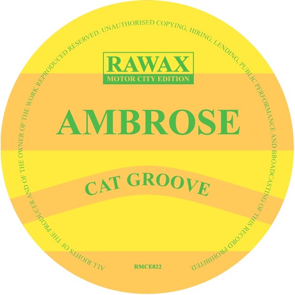 Cat Groove
