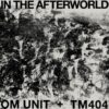 In The Afterworld LP