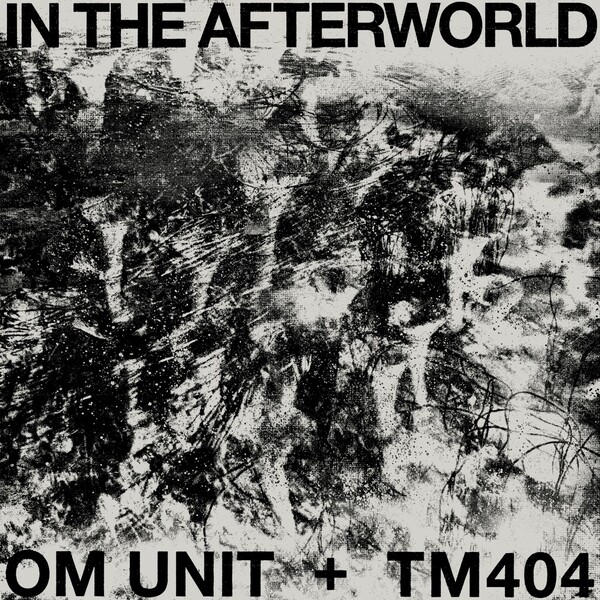 In The Afterworld LP