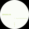 DAHLIA993_1 DAHLIA 993