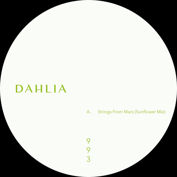 DAHLIA993_1 DAHLIA 993