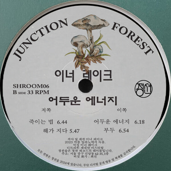 SHROOM006_2 Dark Energy