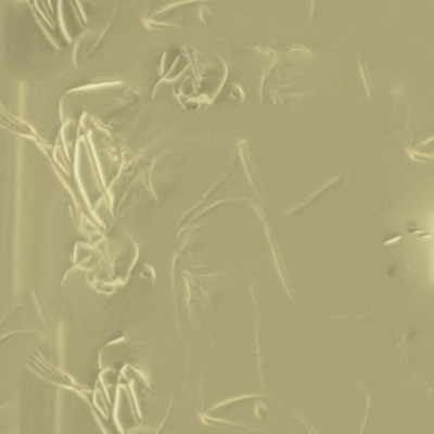 Peculiar Glow Vol. 1