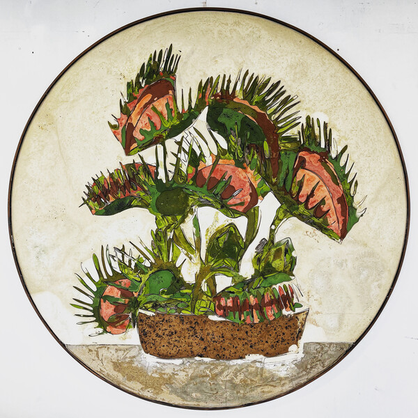 ALNOS05_1 Album Part. II