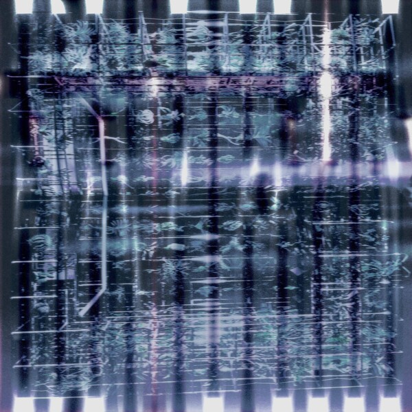 COCLEAR001_1 Plateau