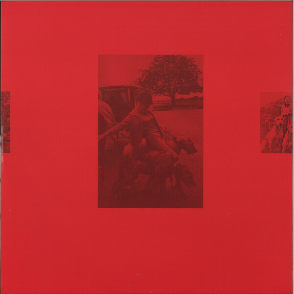 LOG3000.10_1 Carnedd Dafydd (David’s Cairn)