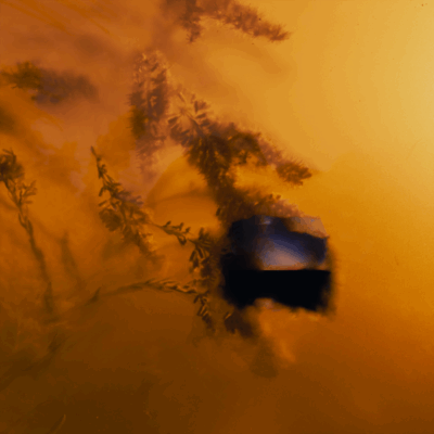 MW011_1 It Means a Lot