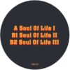 Soul Of Life
