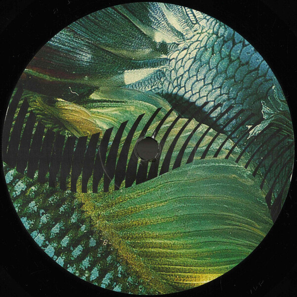 RHZ004_1 Dios Habla Hoy