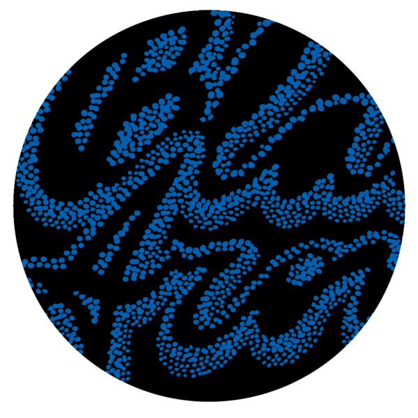 Black Aroma EP Vol. 9