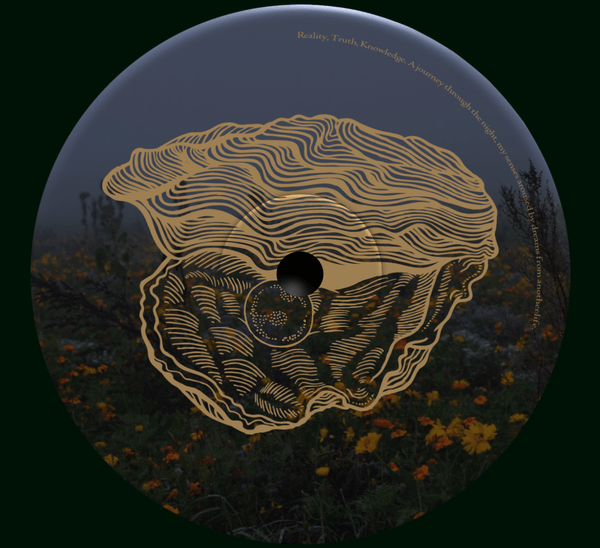 myDEFINITION part II LP 2x12"