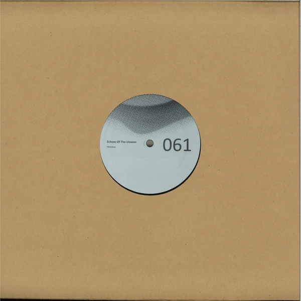 Echoes of the Unseen