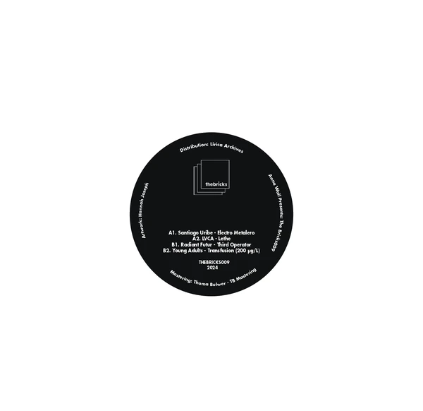 THEBRICKS009_2_600 The Bricks 009