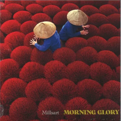 AX115_1_600 MORNING GLORY